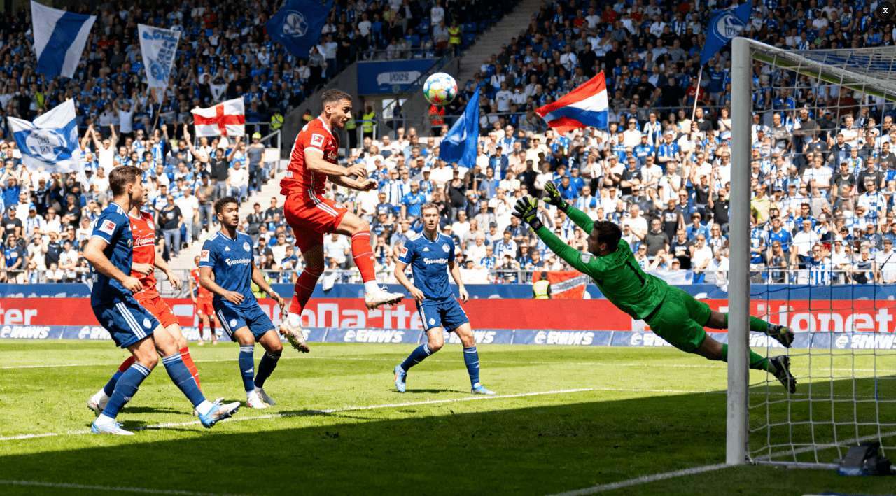 旋风加速器助力推特访问畅通无阻